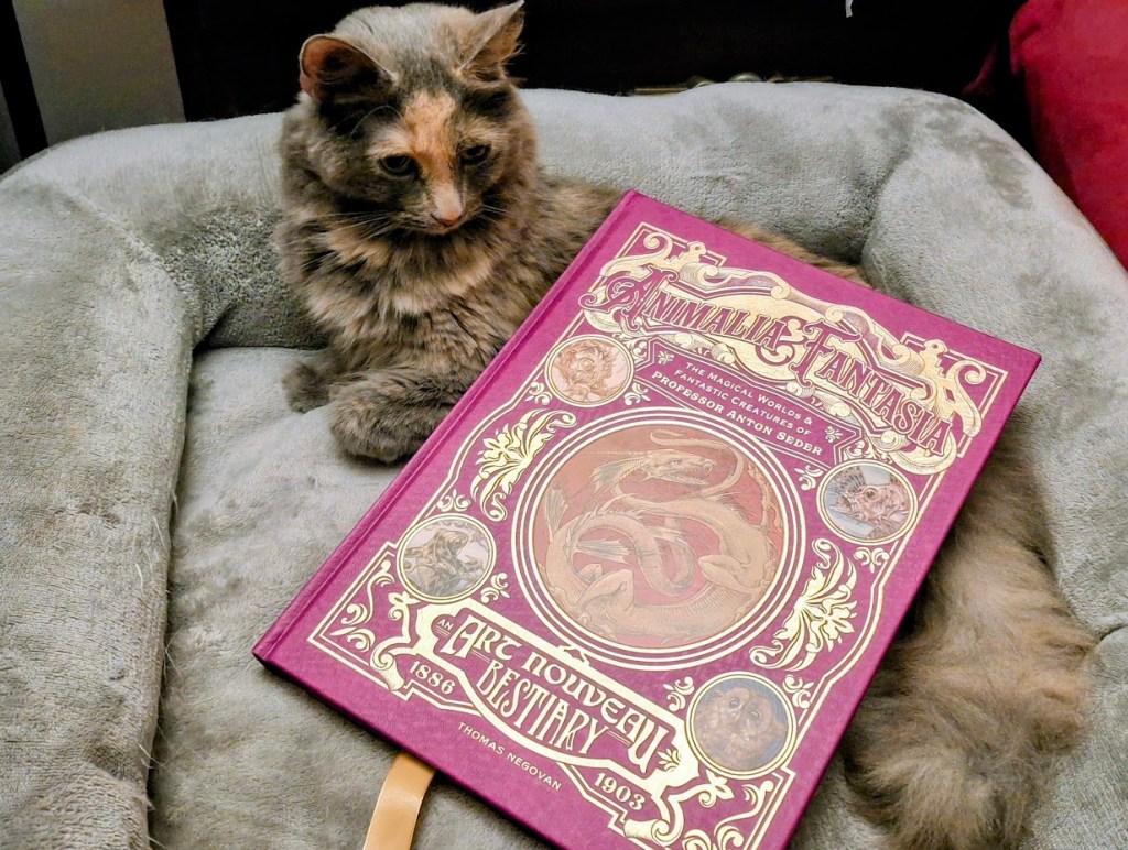 A large red coffee table book titled Animalia &Fantasia lays at an angle on a perplexed tortoiseshell cat. The book is nearly as big as she is.